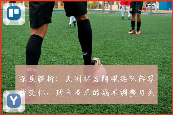 深度解析：美洲杯后阿根廷队阵容新变化，斯卡洛尼的战术调整与关键引援效果评价